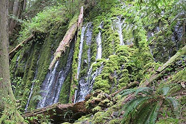 North Umpqua Trail Weeping Wall